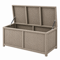 Aufbewahrungsbox 120 x 50 x 60 cm Taupe Polyrattan für Garten mit Gasdruckfedern